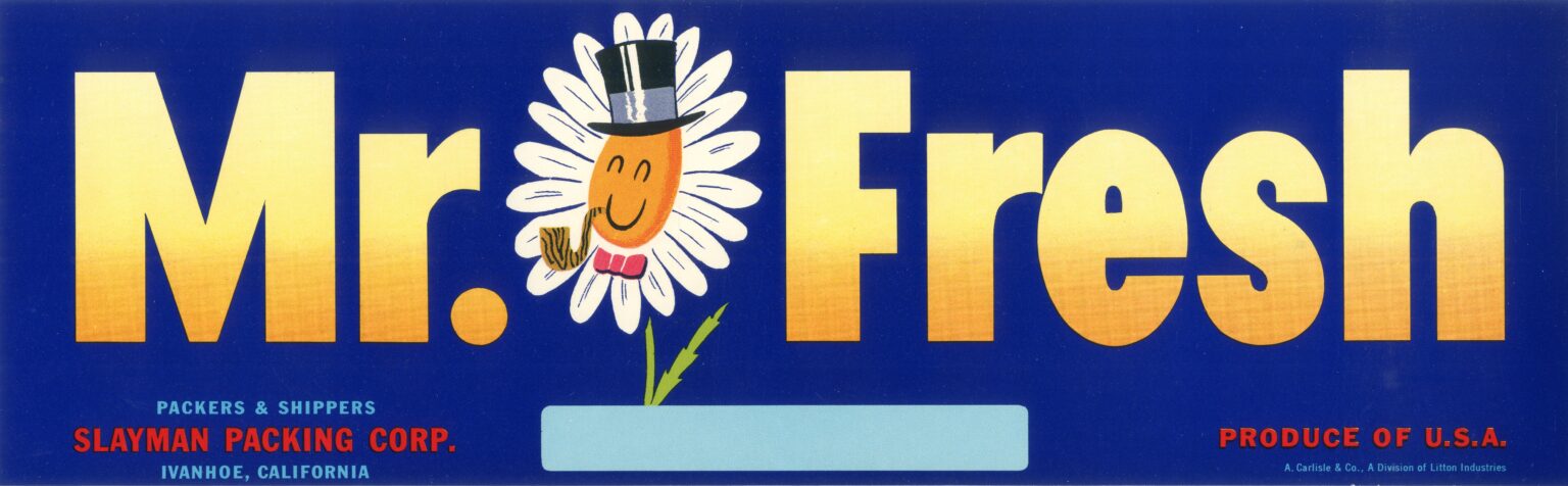 Mr. Fresh